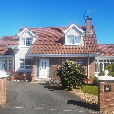 Bed and Breakfast Highfields Self Contained Studio Newry Exterior foto