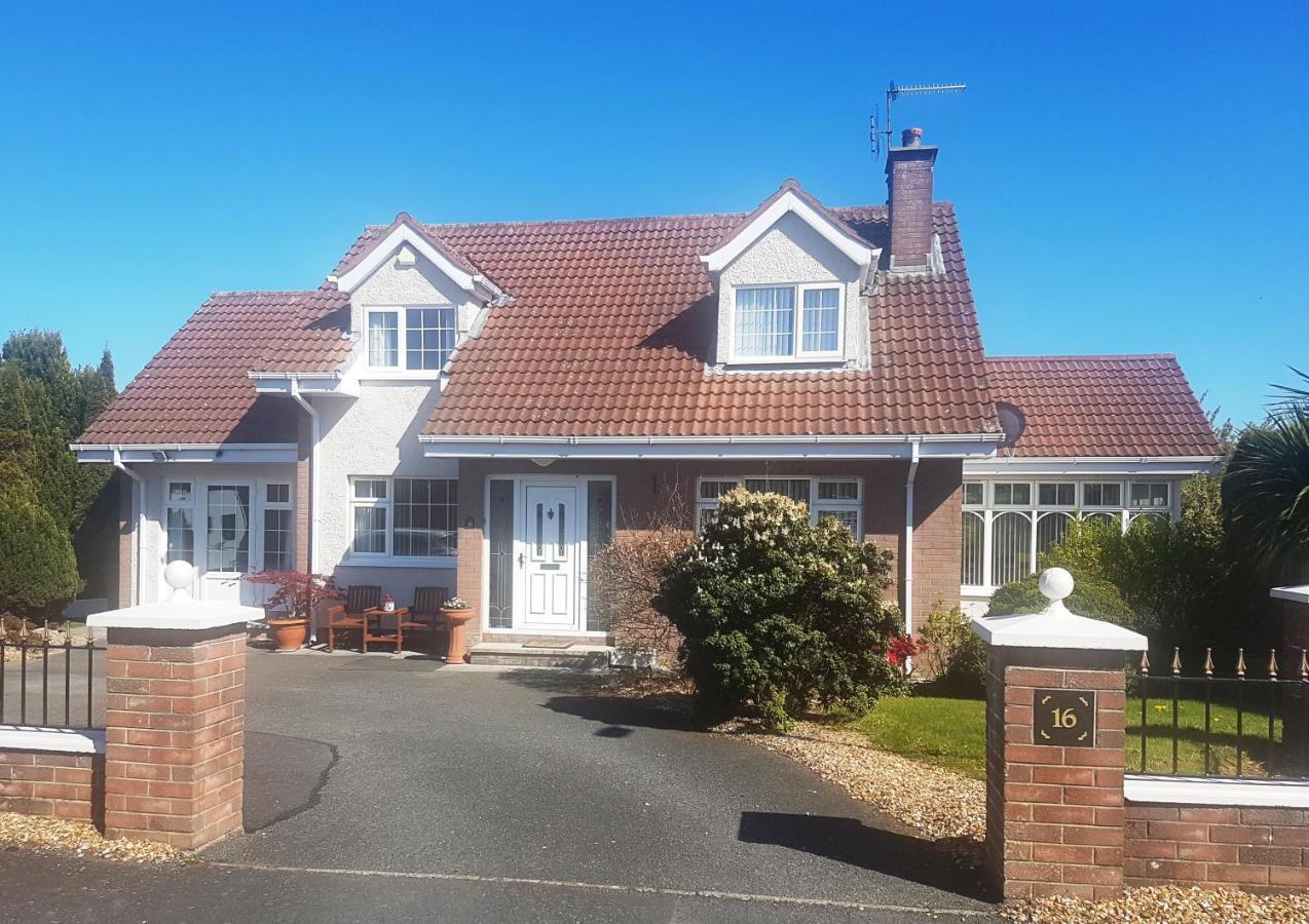 Bed and Breakfast Highfields Self Contained Studio Newry Exterior foto